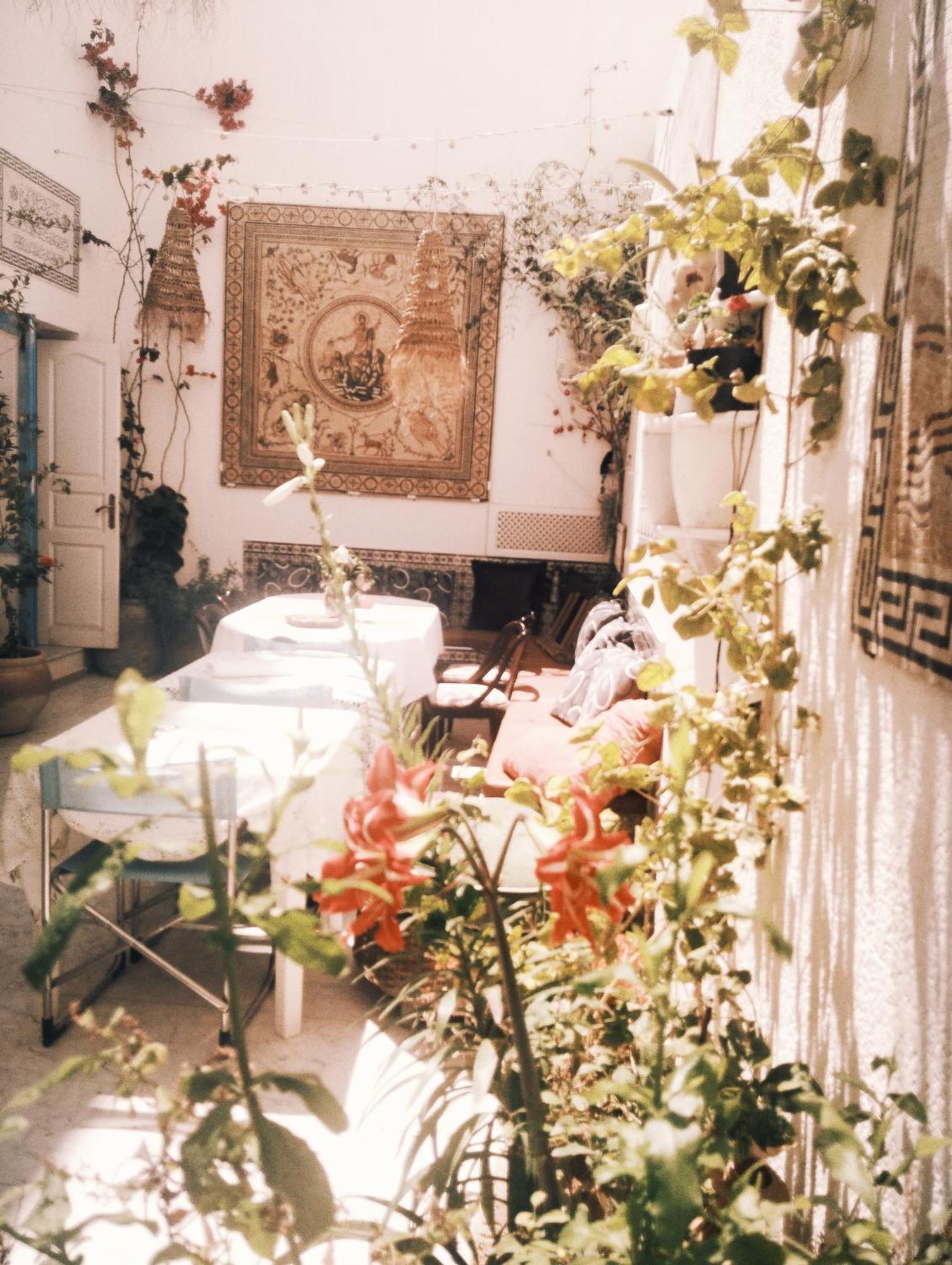 Maison Albatros Mahdia Bagian luar foto
